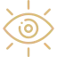 الرؤية